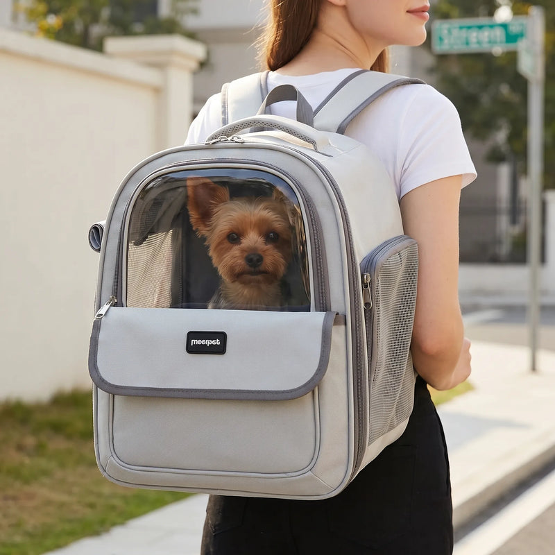 Transparenter Haustierrucksack -  Visiom