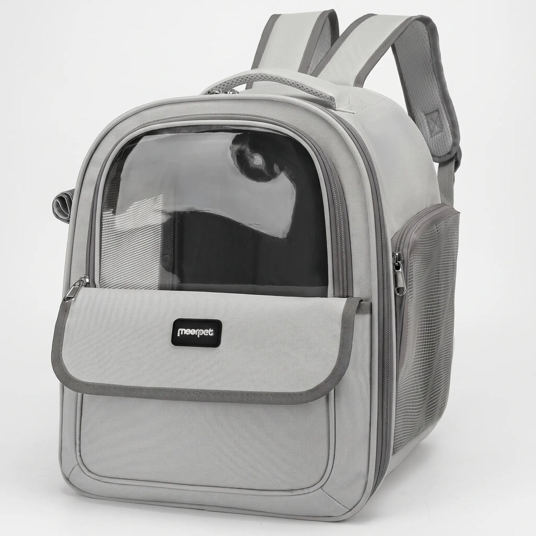 Transparenter Haustierrucksack -  Visiom