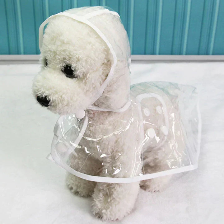 Transparenter Hunde-Regenmantel -  Rainygo