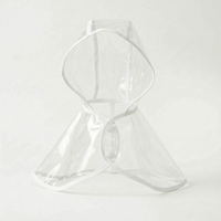 Transparenter Hunde-Regenmantel -  Rainygo