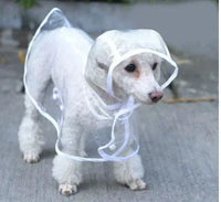 Transparenter Hunde-Regenmantel -  Rainygo