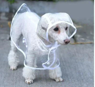 Transparenter Hunde-Regenmantel -  Rainygo