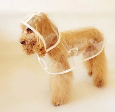 Transparenter Hunde-Regenmantel -  Rainygo