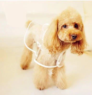Transparenter Hunde-Regenmantel -  Rainygo