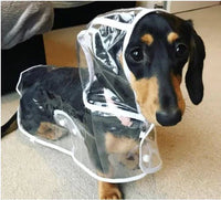 Transparenter Hunde-Regenmantel -  Rainygo