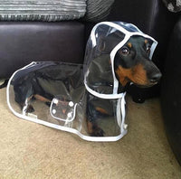 Transparenter Hunde-Regenmantel -  Rainygo