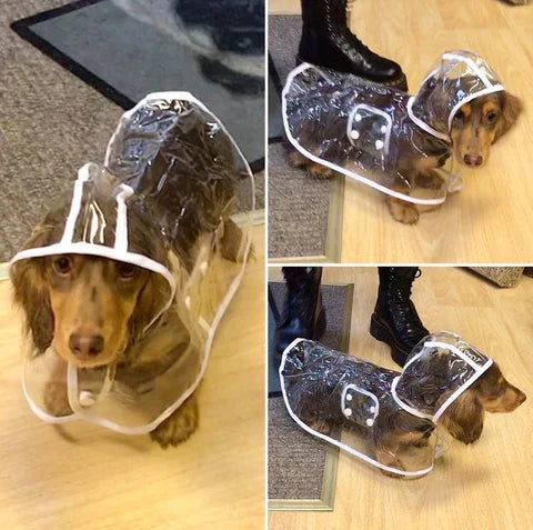Transparenter Hunde-Regenmantel -  Rainygo