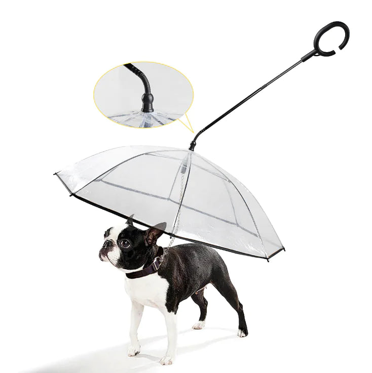 Transparenter Hunde-Regenschirm -  Visify