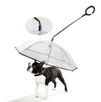 Transparenter Hunde-Regenschirm -  Visify