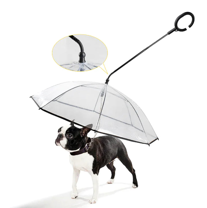 Transparenter Hunde-Regenschirm -  Visify