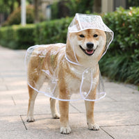 Transparenter Regenponcho Mit Kapuze -  Pawcape