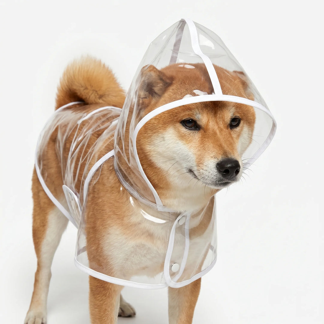 Transparenter Regenponcho Mit Kapuze -  Pawcape
