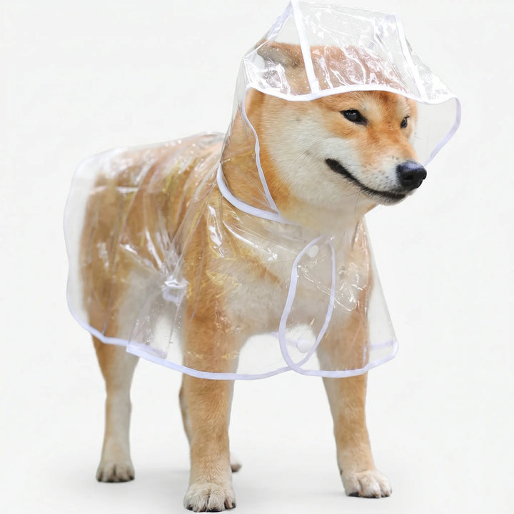 Transparenter Regenponcho Mit Kapuze -  Pawcape