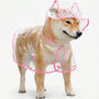 Transparenter Regenponcho Mit Kapuze -  Pawcape