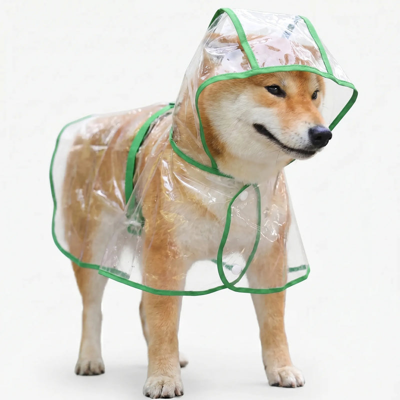 Transparenter Regenponcho Mit Kapuze -  Pawcape