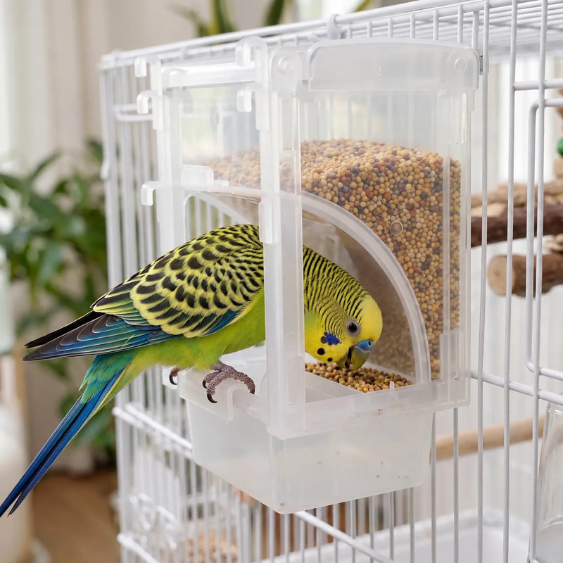 Transparenter Vogelfutterspender -  Alura