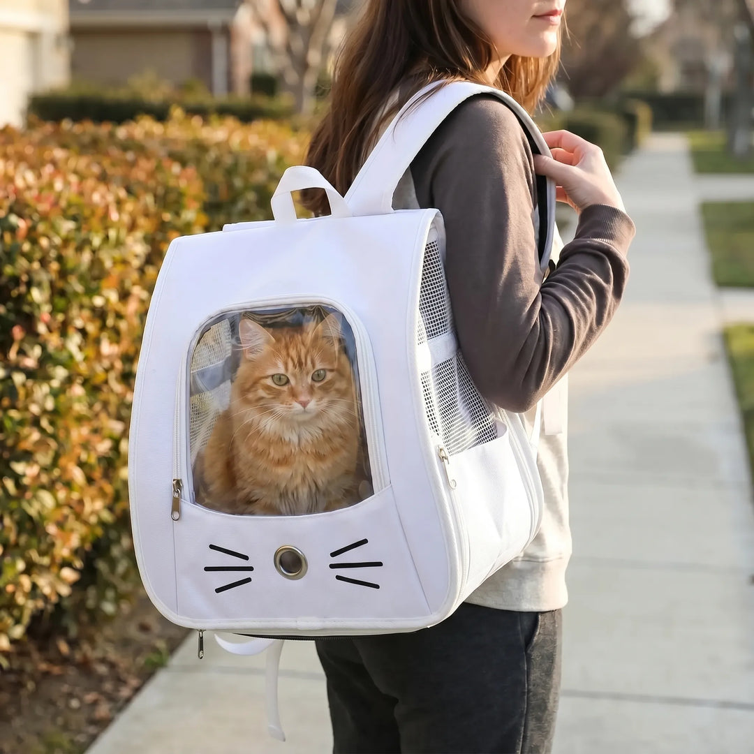 Transporter Für Kleine Haustiere -  Meowster