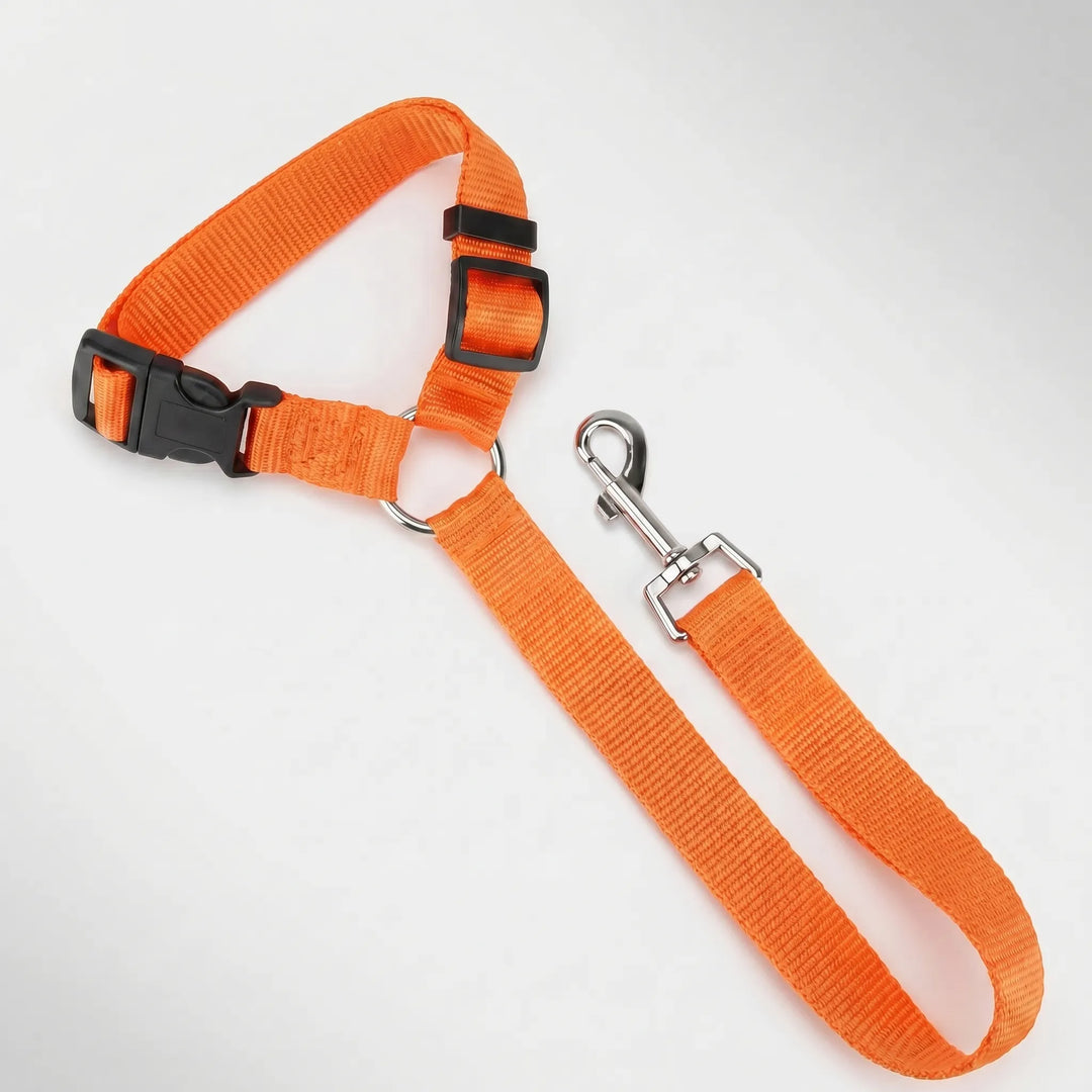 Verstellbarer Hunde-Autosicherheitsgurt Mit Leine -  Pawbuckle