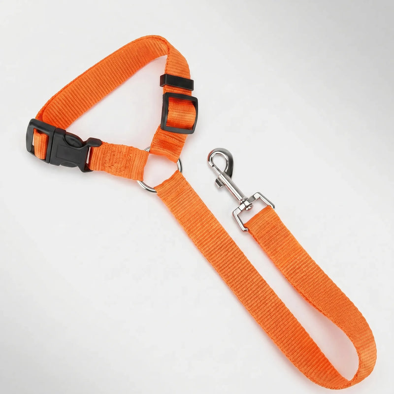 Verstellbarer Hunde-Autosicherheitsgurt Mit Leine -  Pawbuckle