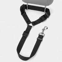 Verstellbarer Hunde-Autosicherheitsgurt Mit Leine -  Pawbuckle