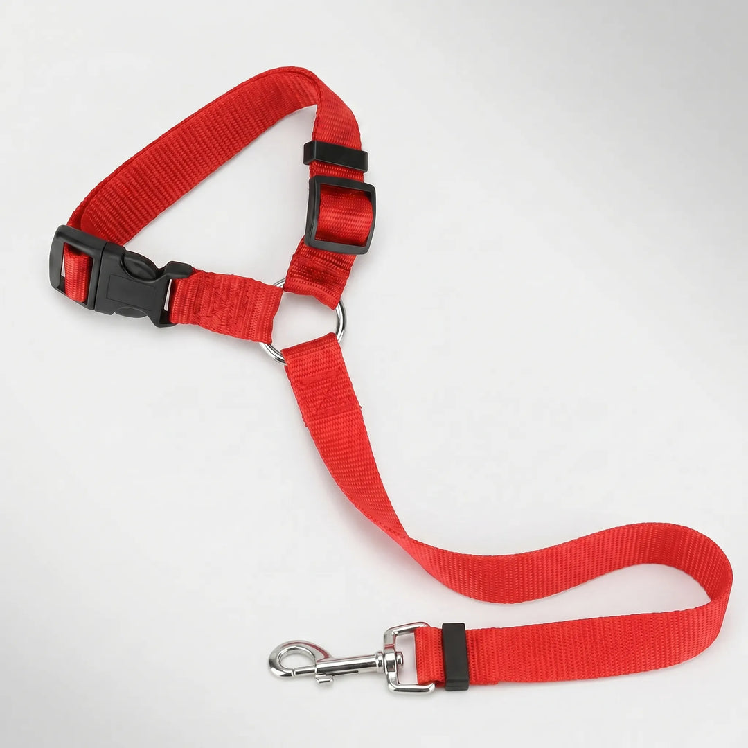 Verstellbarer Hunde-Autosicherheitsgurt Mit Leine -  Pawbuckle