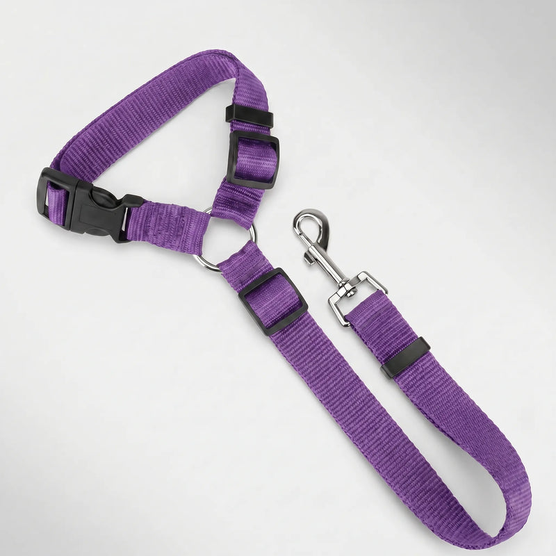 Verstellbarer Hunde-Autosicherheitsgurt Mit Leine -  Pawbuckle