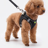 Verstellbares Geschirr-Set Mit Leine -  PuppyRoam