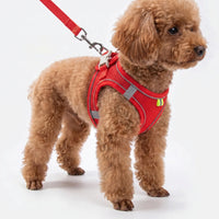 Verstellbares Geschirr-Set Mit Leine -  PuppyRoam