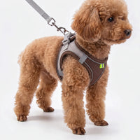 Verstellbares Geschirr-Set Mit Leine -  PuppyRoam