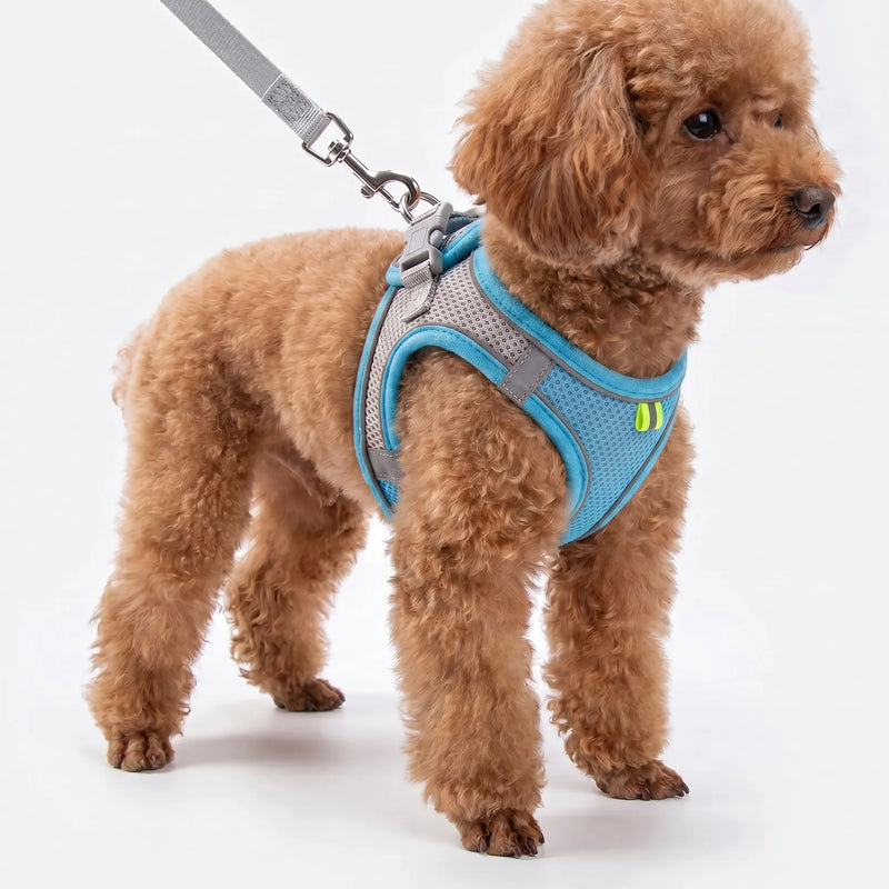 Verstellbares Geschirr-Set Mit Leine -  PuppyRoam