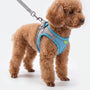 Verstellbares Geschirr-Set Mit Leine -  PuppyRoam