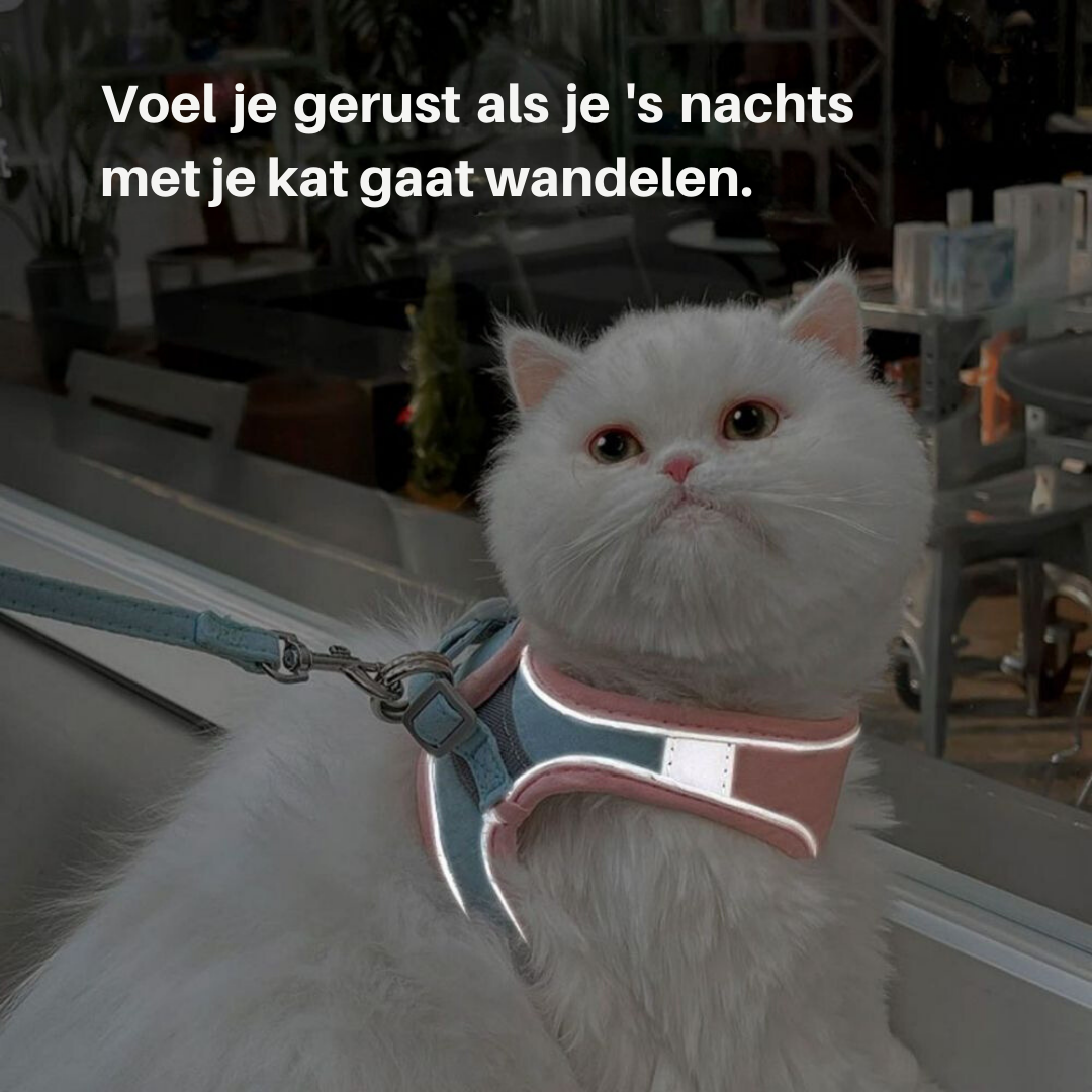 Verstellbares Katzengeschirr -  Strolly