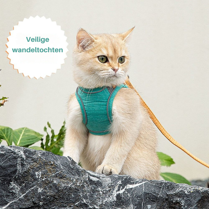 Verstellbares Katzengeschirr -  Strolly