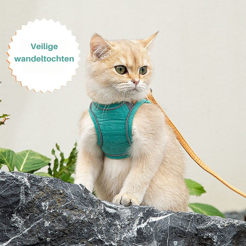 Verstellbares Katzengeschirr -  Strolly