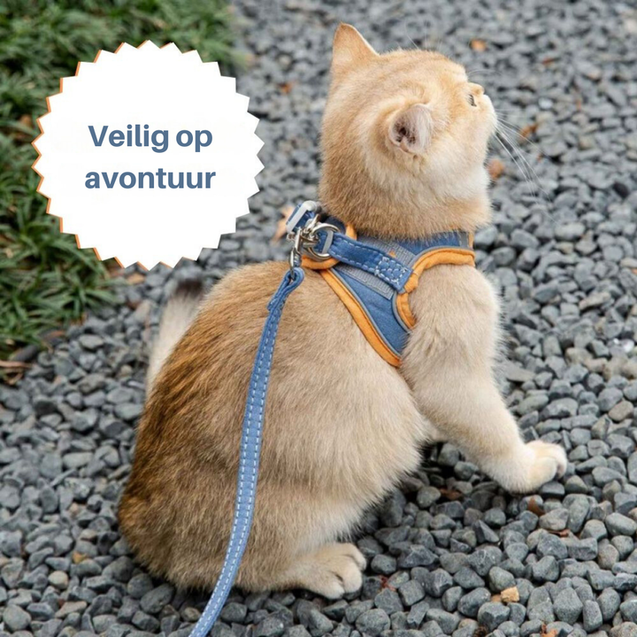 Verstellbares Katzengeschirr -  Strolly