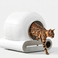 Vollautomatisches Halbgeschlossenes Katzentoilettensystem -  Purrbox