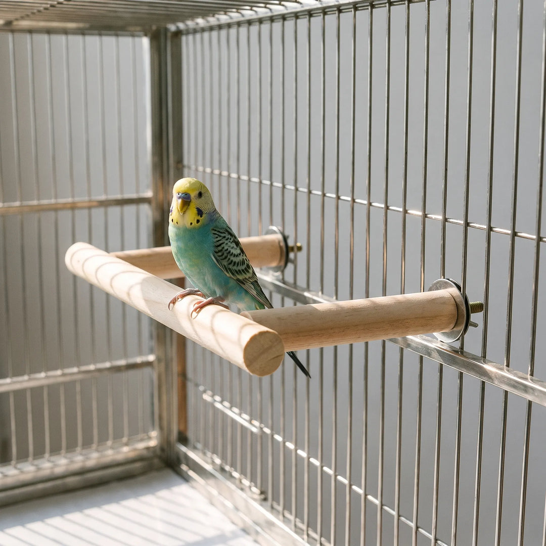 Waagerechte Vogelsitzstange -  Aloftia