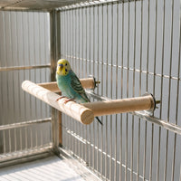 Waagerechte Vogelsitzstange -  Aloftia