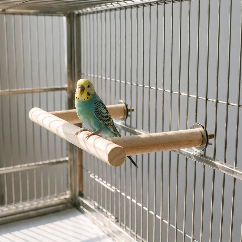Waagerechte Vogelsitzstange -  Aloftia