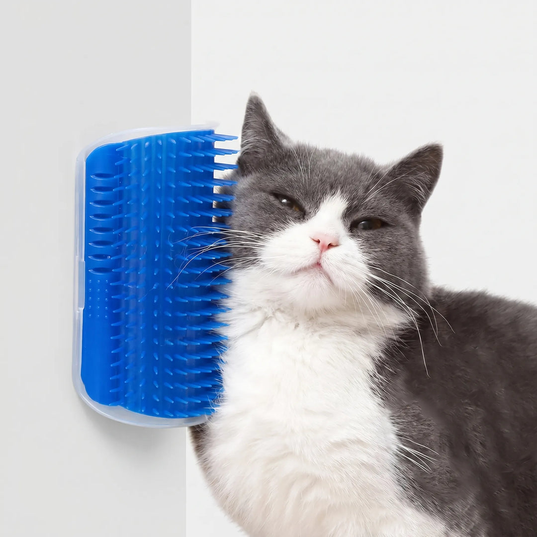 Wandmontierte Massagebürste Für Katzen -  Wallgroomer