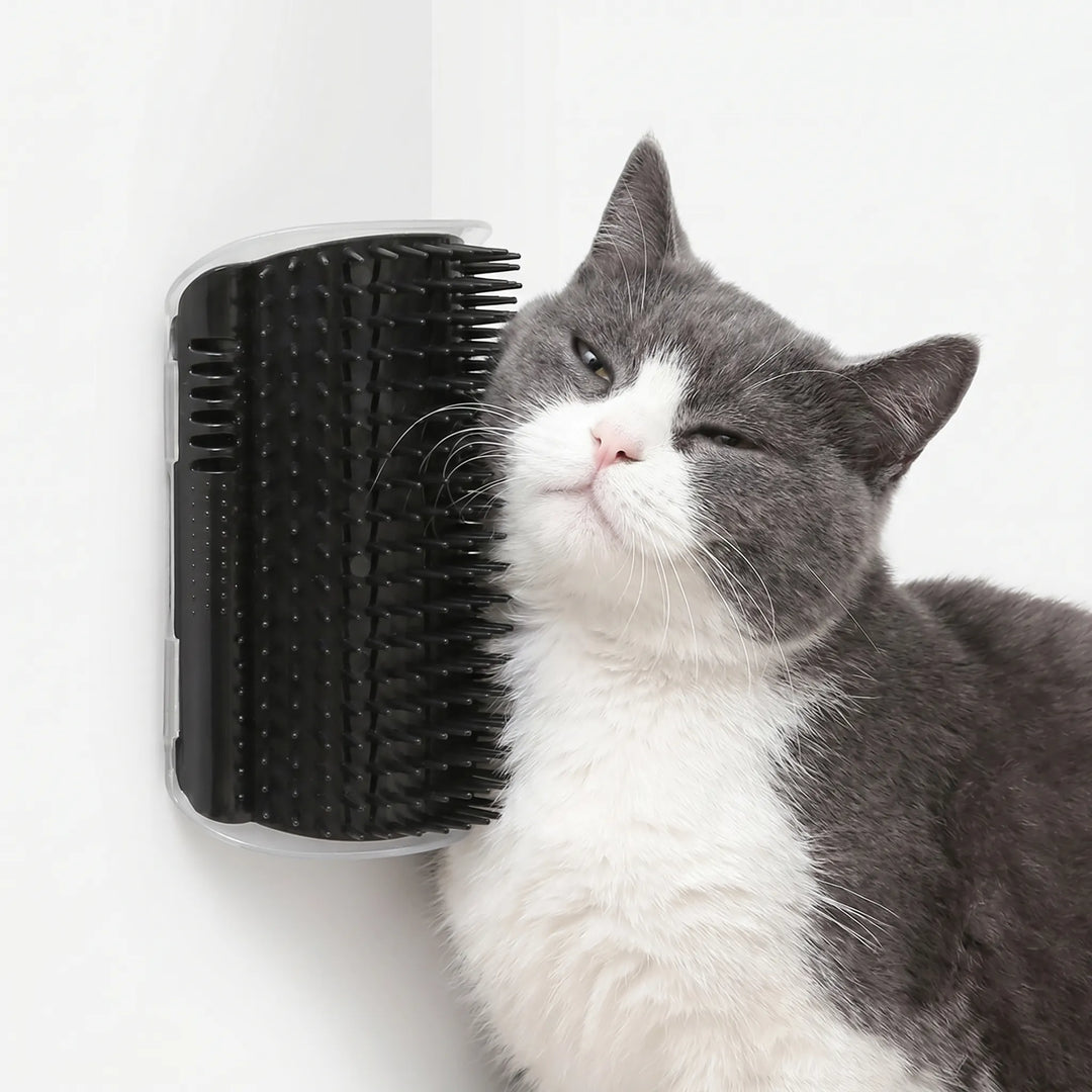 Wandmontierte Massagebürste Für Katzen -  Wallgroomer
