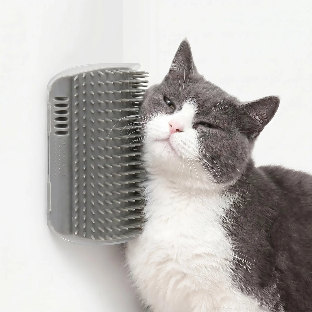 Wandmontierte Massagebürste Für Katzen -  Wallgroomer