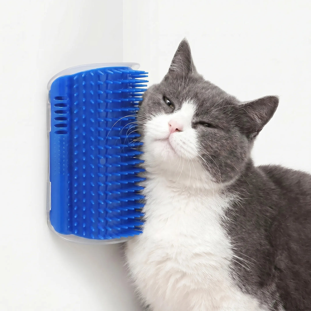 Wandmontierte Massagebürste Für Katzen -  Wallgroomer
