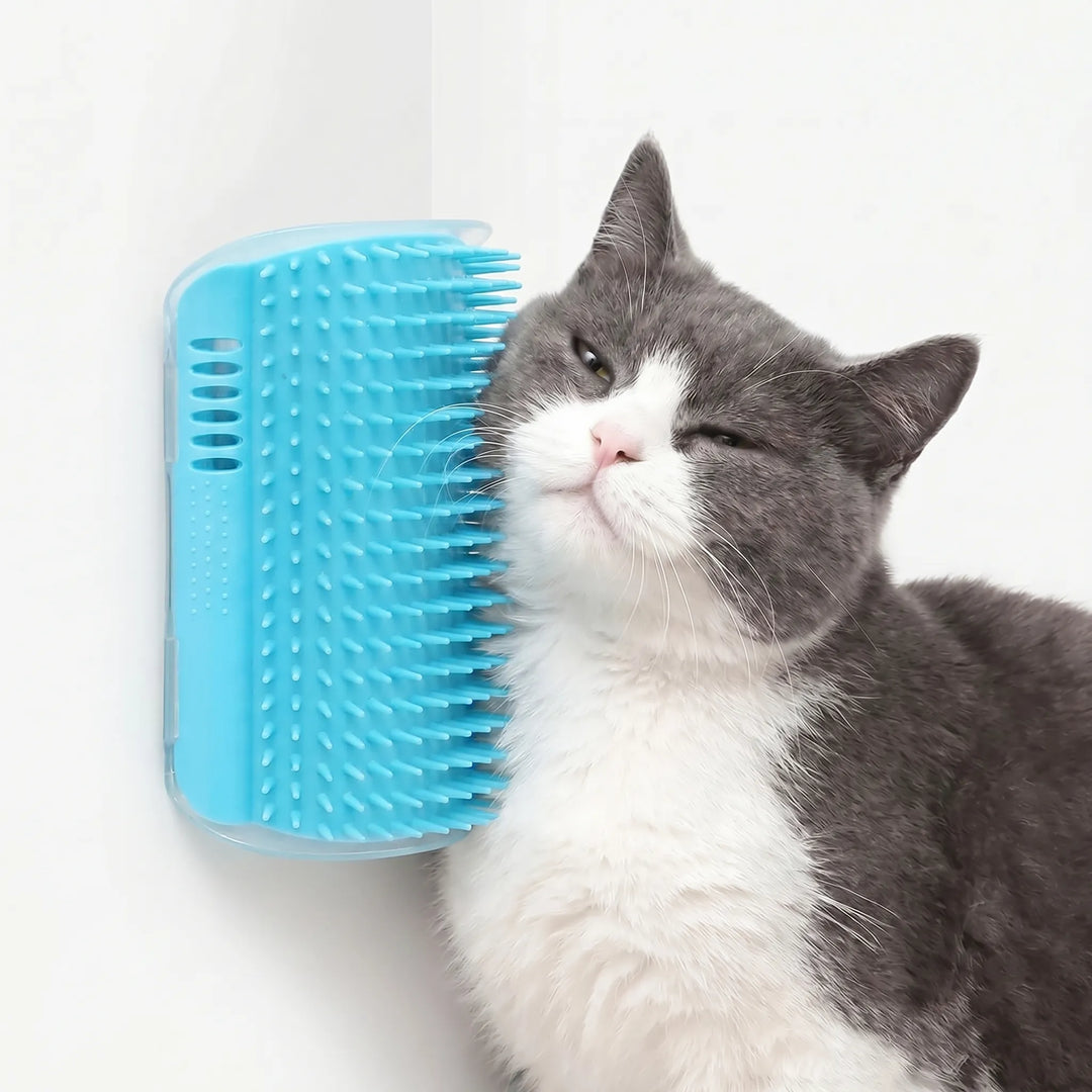 Wandmontierte Massagebürste Für Katzen -  Wallgroomer