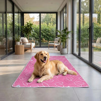 Waschbare Hundetoilette Für Drinnen -  PawPad