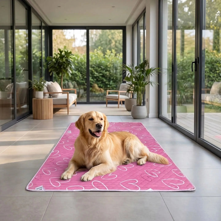 Waschbare Hundetoilette Für Drinnen -  PawPad