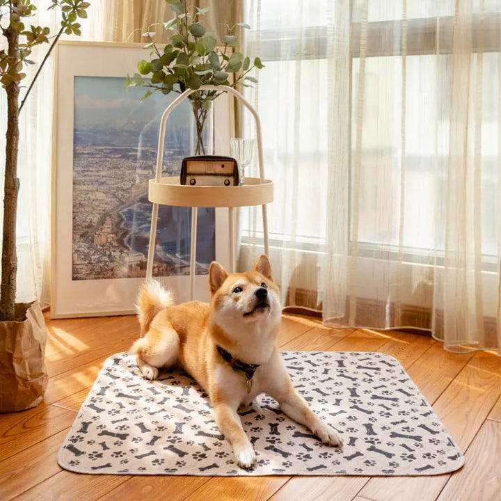 Waschbare Unterlage Für Hunde -  Absorbia
