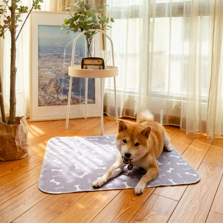 Waschbare Unterlage Für Hunde -  Absorbia