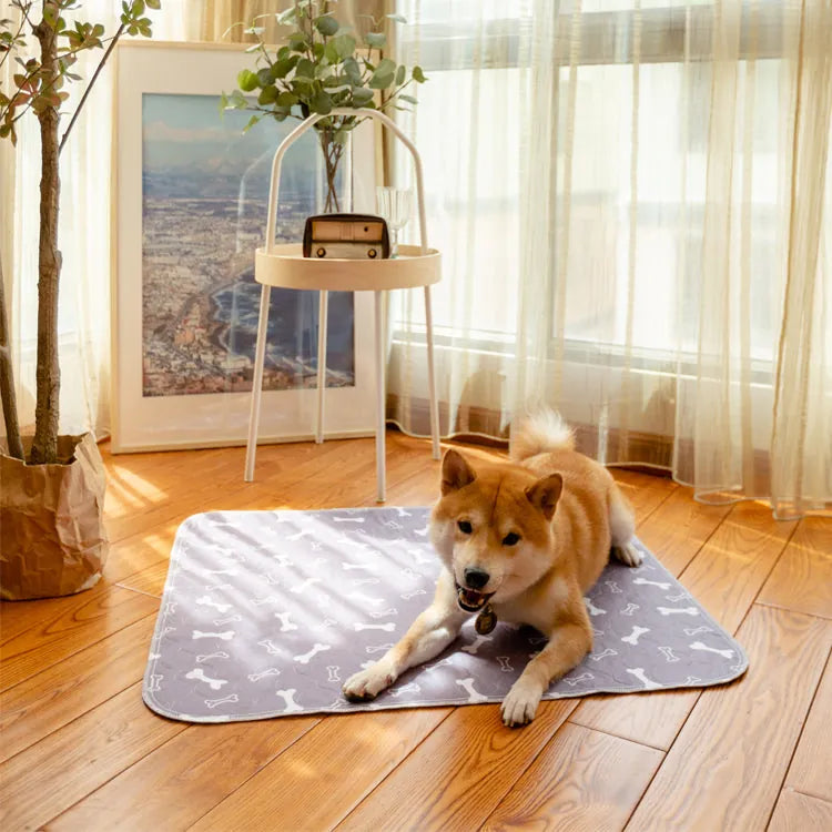 Waschbare Unterlage Für Hunde -  Absorbia
