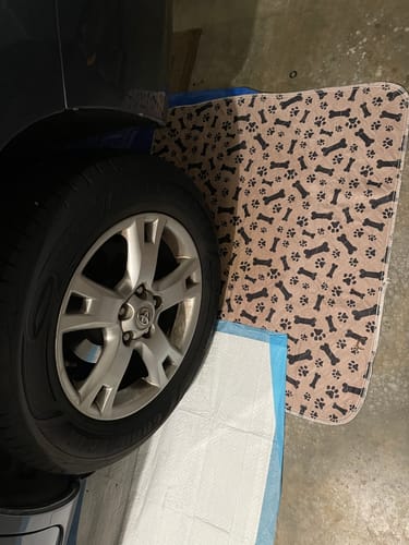 Waschbare Unterlage Für Hunde -  Absorbia